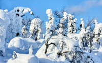 Finland: Winter Scenes