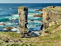 Orkney and Shetland