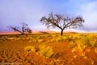 Namibia