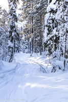 Sweden: Årrenjarka